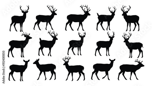 A group of deer silhouettes walking in different directions isolated on white background, Vector