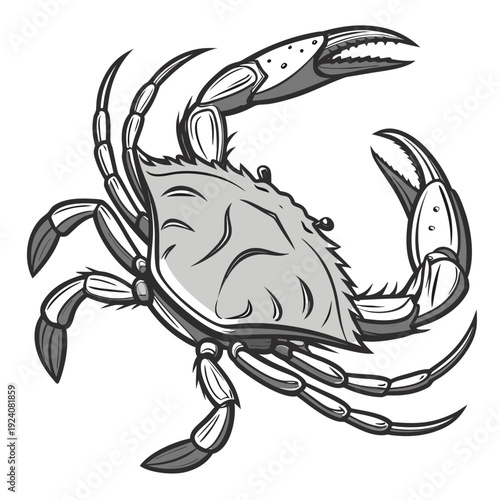A gray crab with its claws raised
