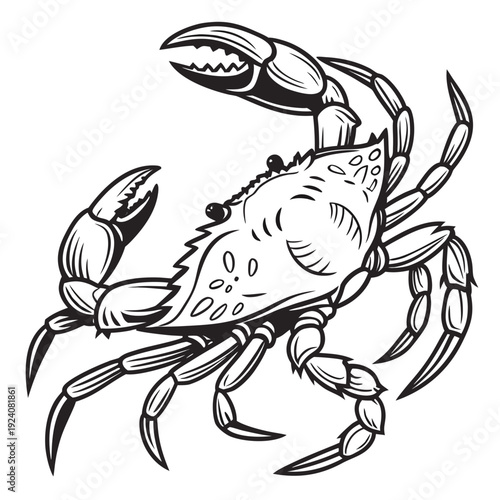 A black and white drawing of a crab