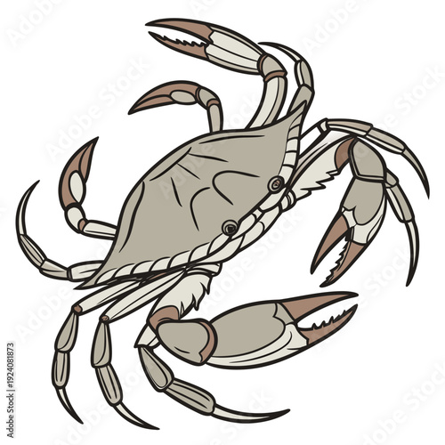 A cartoon crab with brown and white shell