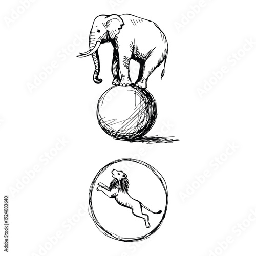 Hand-Drawn Circus Animals Elephant Balancing and Jumping Lion Sketch