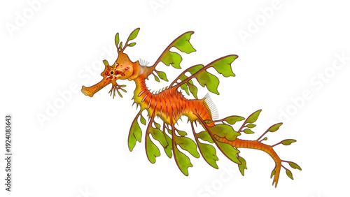 Fotografie Isolated leafy seadragon illustration aquatic animal underwater marine wildlife