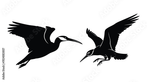 Two herons flying in the same direction isolated on white background, Vector