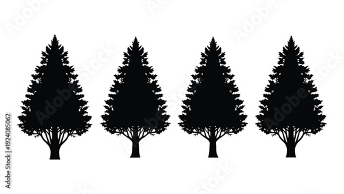Four black silhouettes of pine trees on a white background isolated on white background, Vector