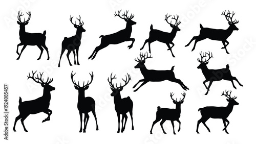 A group of deer silhouettes in various poses isolated on white background, Vector