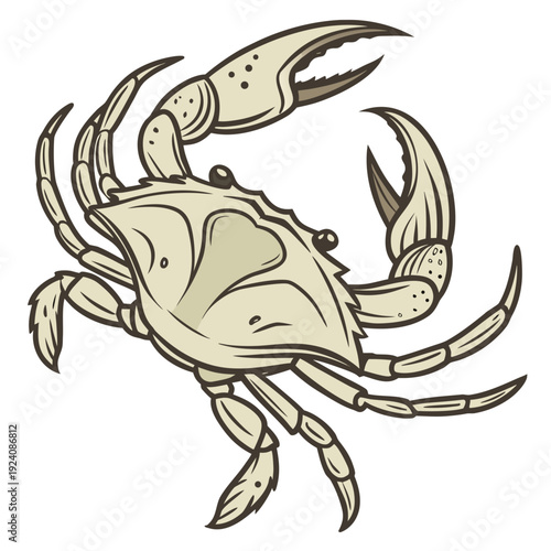 A cartoon drawing of a crab on a white background