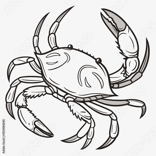 A black and white drawing of a crab