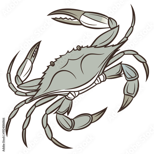 A gray crab with its claws raised