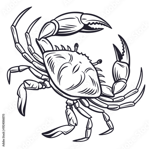 A black and white drawing of a crab