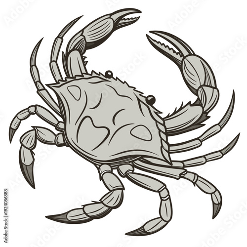 A crab is shown in a cartoon style
