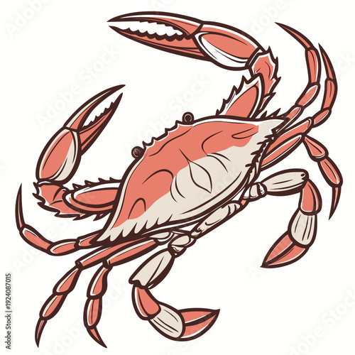 A cartoon illustration of a red and white crab