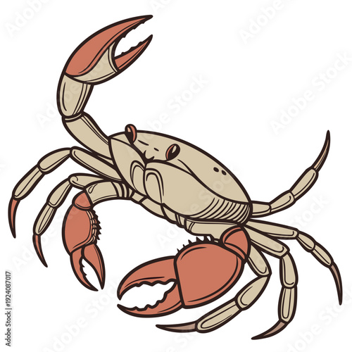 A cartoon crab with orange claws and legs