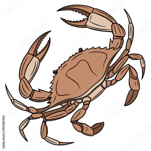 A brown crab with its claws raised