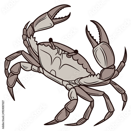 A brown crab is shown in a cartoon style