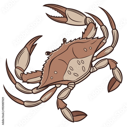 A cartoon illustration of a brown crab on a white background
