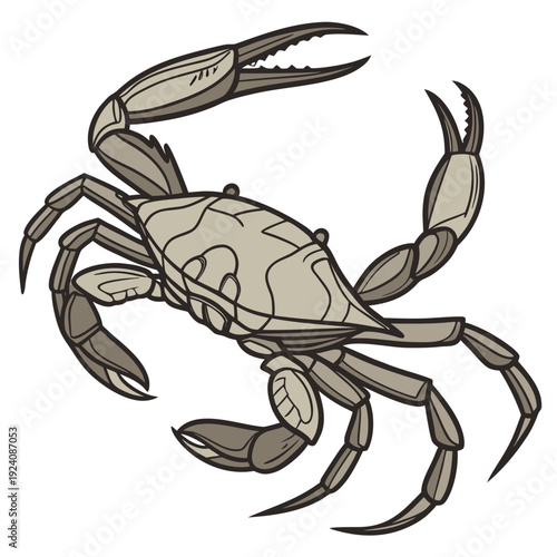 A cartoon drawing of a crab on a white background