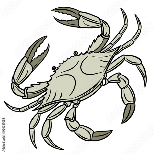 A cartoon drawing of a crab on a white background