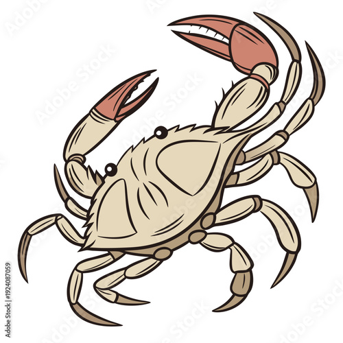 A cartoon crab with a beige shell and red claws