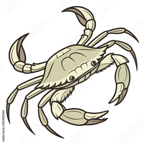 A cartoon drawing of a crab on a white background