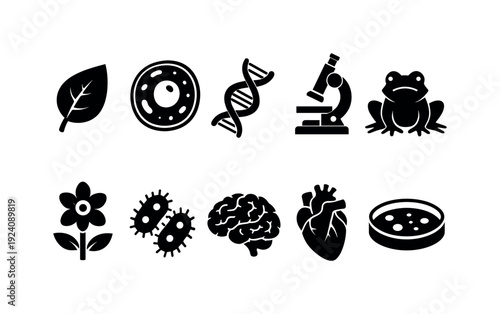 Shaman, cultural elements silhouette icon set. Ritual, nature icons outline collection