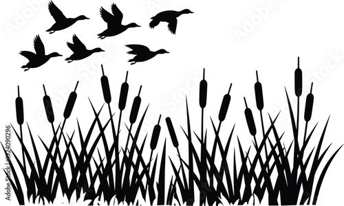Flying ducks over marsh reeds silhouette vector illustration featuring cattails grass and wildlife nature landscape scene design