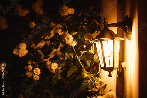 Wallpaper Mural Vintage outdoor lantern illuminated at night surrounded by climbing white roses and green foliage on a wall, creating a warm and inviting atmosphere Torontodigital.ca