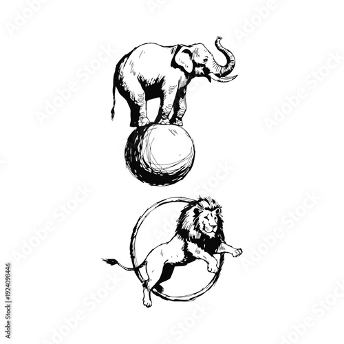 Circus Animals Performance Sketch