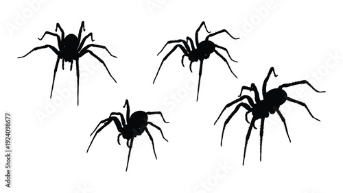 Four black spiders on a white background isolated on white background, Vector
