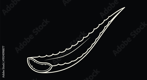 Aloe Vera Leaf Monoline Outline on Black – Off-White Minimal Spear Blade Vector Line Art