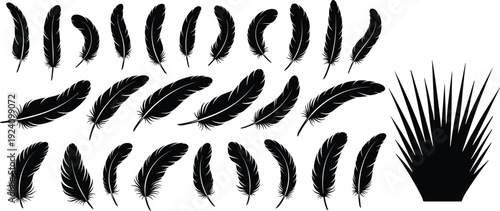 Black feather silhouette collection set, decorative bird plumage elements and grass shape vector illustration isolated on white background