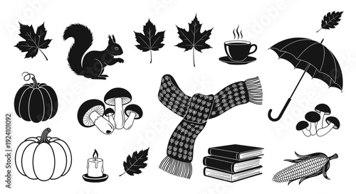 Collection of autumn and seasonal items including leaves pumpkins and scarf