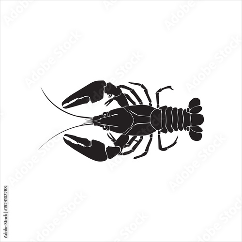 crawfish vector