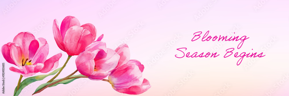 Fototapeta premium Pink tulips in watercolor style announcing the blooming season begins, creating a delicate spring floral greeting banner with soft pastel colors and copy space