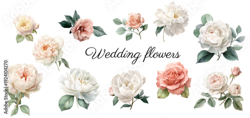 Watercolor floral set showcasing elegant roses and peonies in a soft color palette, ideal for wedding stationery, feminine branding, and decorative elements