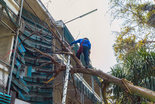 Handyman repair concrete building damaged by large fallen tree branch after natural disaster. Professional worker climbing fallen tree to remove branches and repair  building damaged by severe storm.