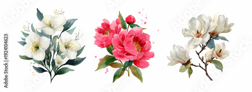Beautiful floral collection portraying jasmine, peony, and magnolia blooms with soft green leaves, rendered in a delicate watercolor artistic style against a white background