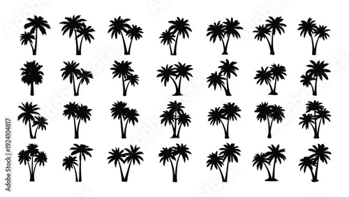 A collection of black palm tree silhouettes on a white background isolated on white background, Vector