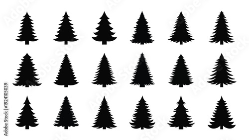 A group of black pine tree silhouettes on a white background isolated on white background, Vector