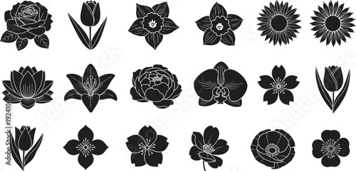 Black floral silhouette vector set, rose tulip sunflower lily botanical flower icons isolated on white background collection