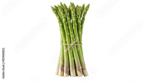 Isolated bunch of asparagus spears, fresh and tied with twine ready to be cooked