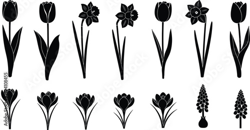 Black flower silhouettes collection, tulip daffodil crocus hyacinth botanical vector illustration isolated on white background for design use