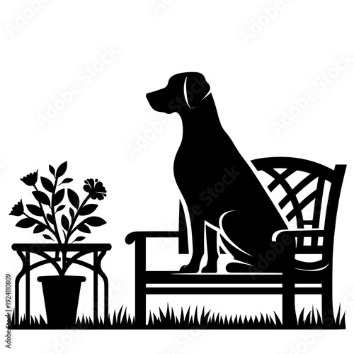 Dog sitting calmly on bench with potted plant