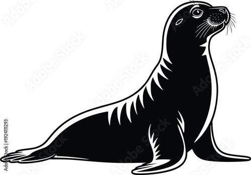 Seal in resting face silhouette vector, marine mammal ocean wildlife black and white illustration