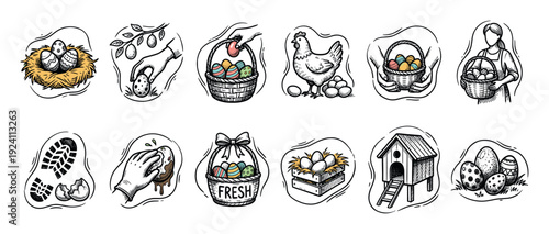 Vintage set of farming and poultry icons with chicken, fresh eggs, basket, and coop drawn in a retro engraving style with color accents on a white background