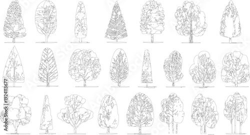Collection of twenty one black and white line deciduous and coniferous trees nature plant plants
