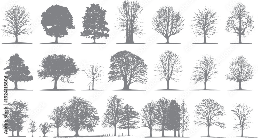 Fototapeta premium Collection of diverse grey tree silhouettes in various shapes and sizes on a white background nature