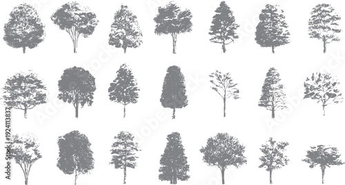 Collection of eighteen grey sketched trees with varied foliage and trunk styles on a white background
