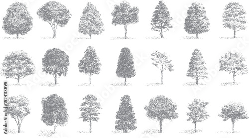 Collection of eighteen grey stippled trees with varied shapes and sizes on a white background nature