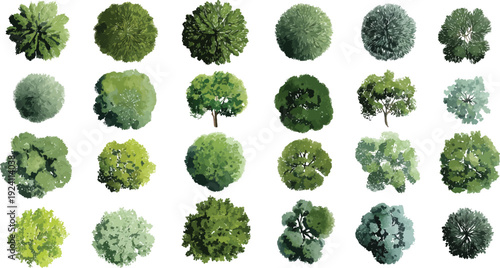 Collection of twenty four diverse green trees viewed from directly above in a down perspective with varied textures and shapes