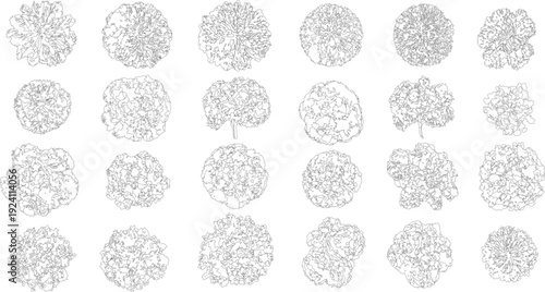 Collection of twenty four black and white line of trees seen from above view aerial outline